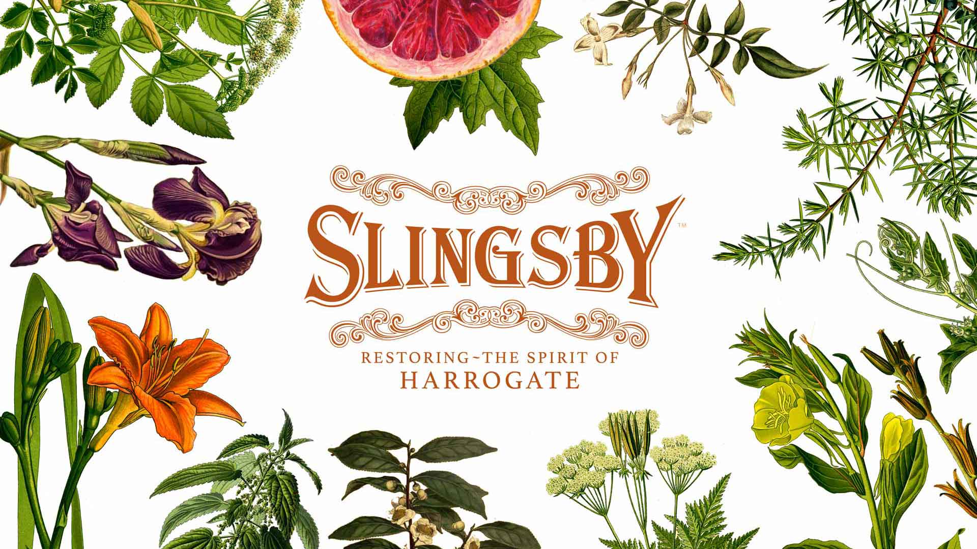 slingsby-cover-ingred-alt